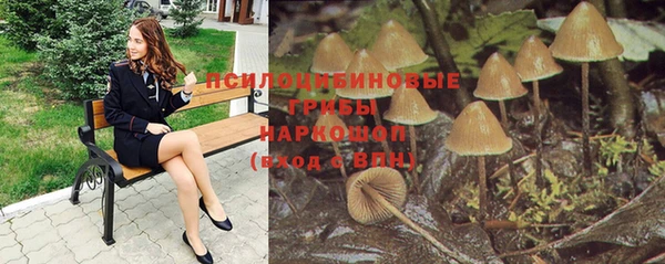 мет Баксан
