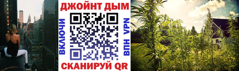 Купить закладки  Цивильск  Бошки Шишки марихуана 